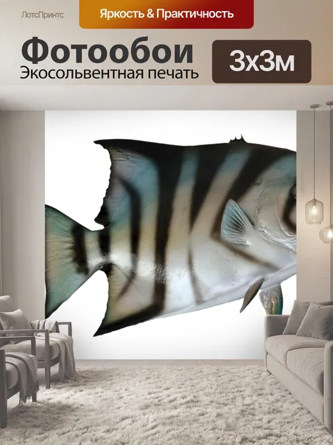 Фотообои Лопата Рыба