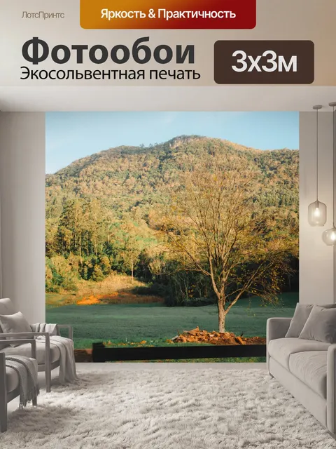 Фотообои Заход солнца