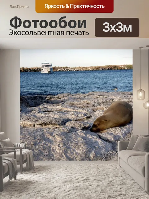 Фотообои Морской лев и корабля