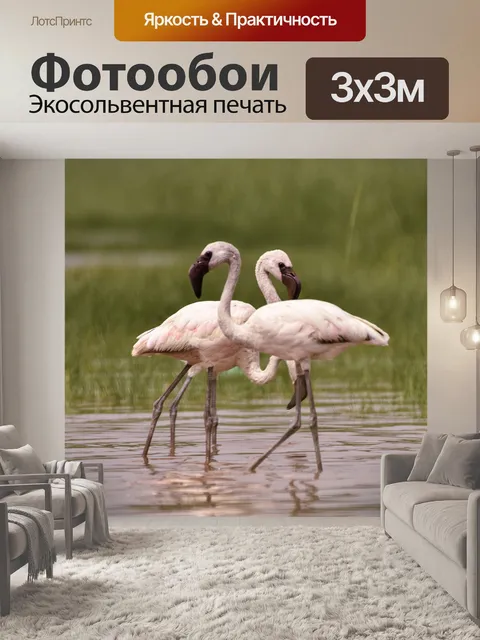 Фотообои Животное