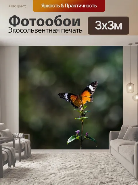 Фотообои Бабочки