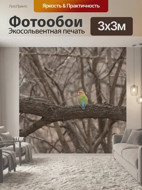 Фотообои Птица