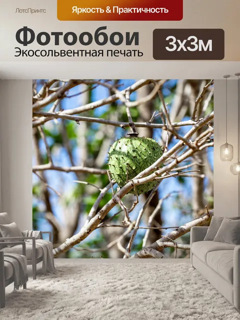 Фотообои Фрукты