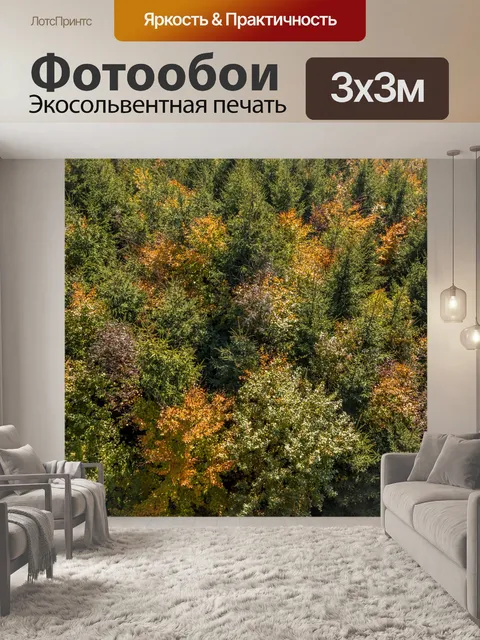 Фотообои Осенний лес