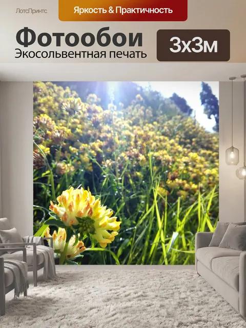 Фотообои Цветок