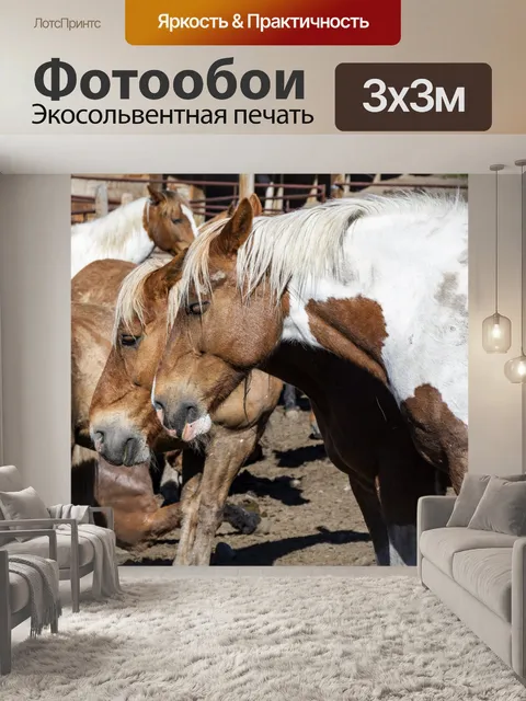 Фотообои лошади