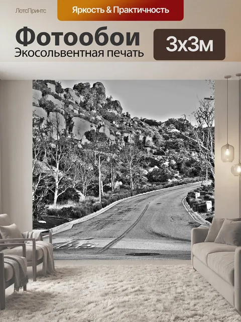 Фотообои извилистой дороги
