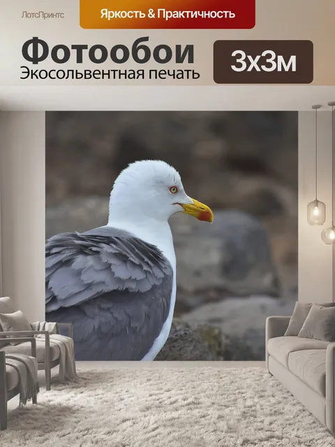Фотообои Птицы