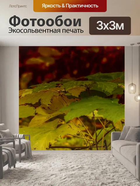 Фотообои Осень