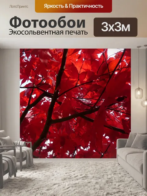 Фотообои Красный