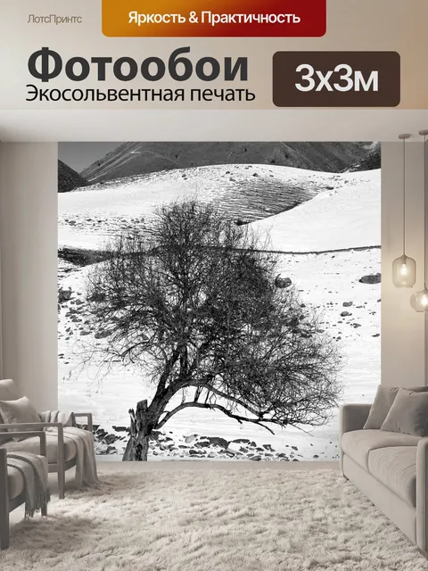 Фотообои Деревья
