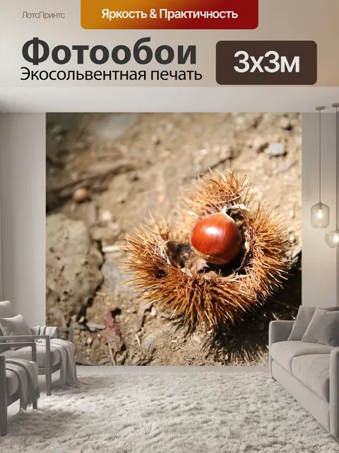 Фотообои Ночь