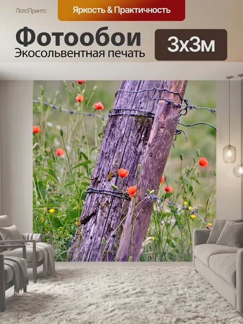 Фотообои Маки