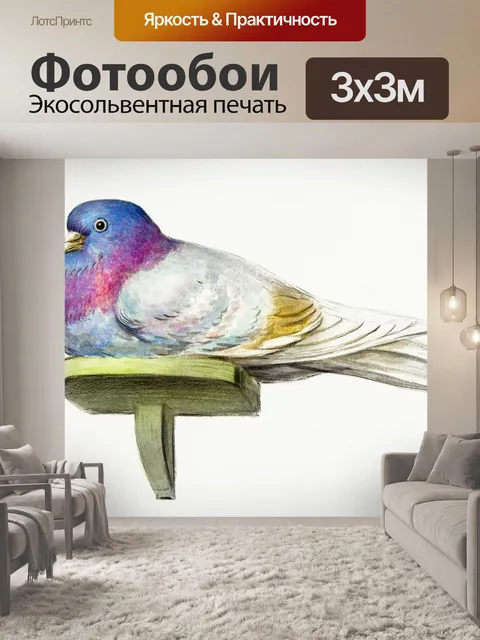 Фотообои Голубь птица винтажное искусство