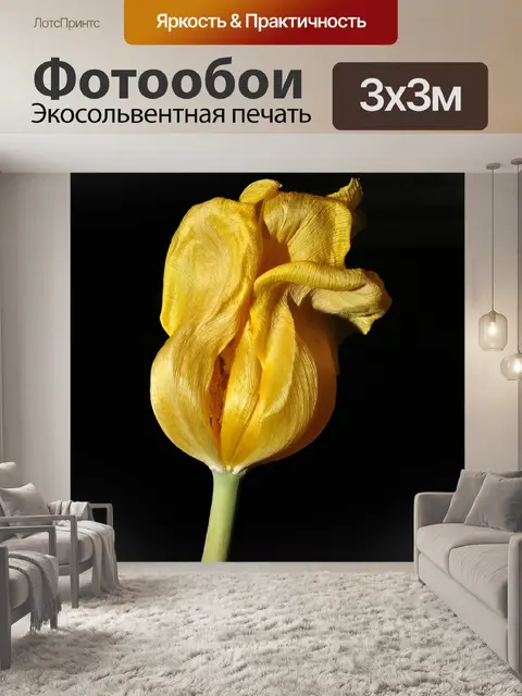 Фотообои Цветок