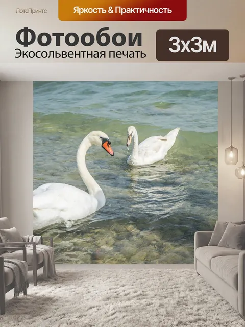 Фотообои Лебеди
