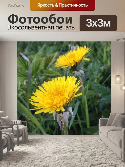 Фотообои Одуванчики