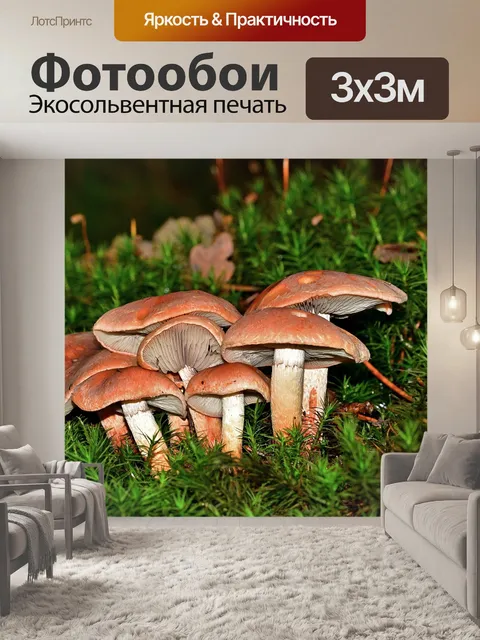 Фотообои Лес