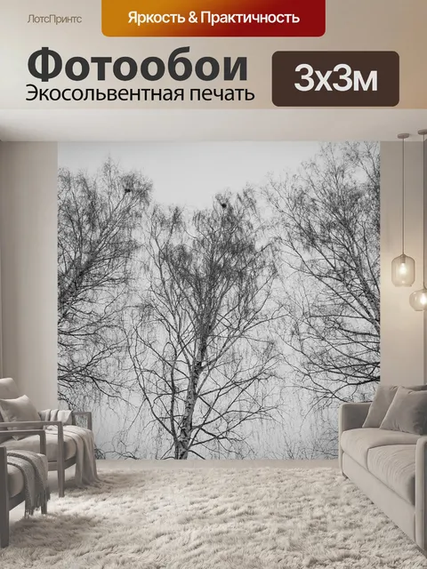 Фотообои Березы