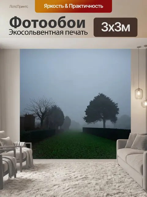 Фотообои туман в стиле викторианский