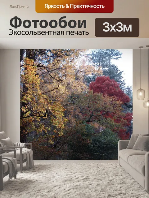 Фотообои Осень
