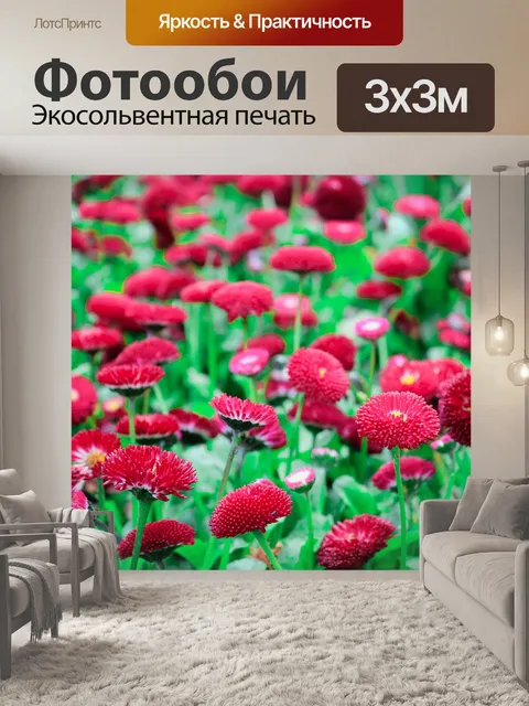 Фотообои Маргаритка
