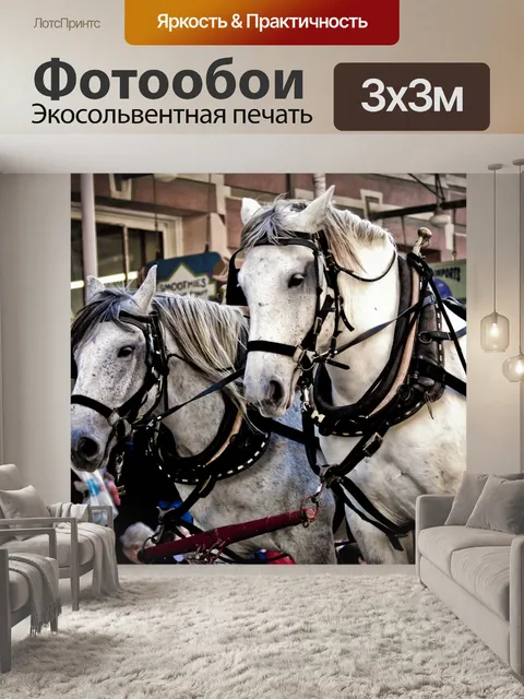 Фотообои Лошади