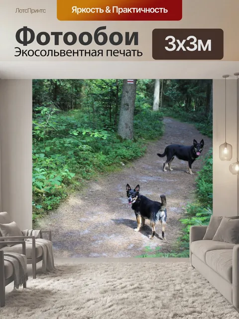 Фотообои Собаки на прогулке