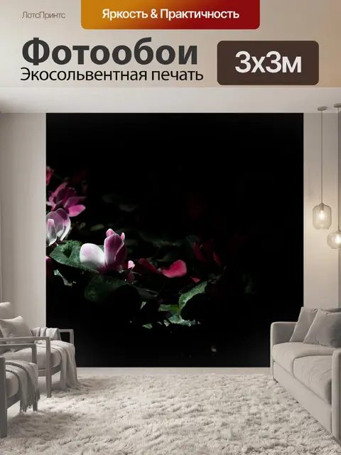 Фотообои Темный