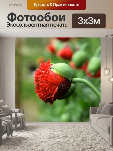 Фотообои Маки