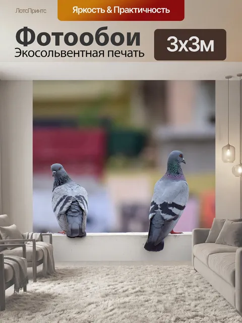 Фотообои Птицы