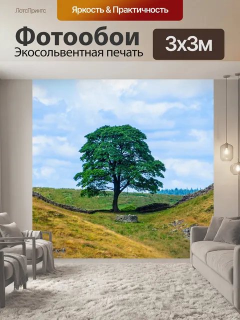 Фотообои Дерево