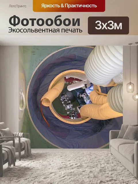 Фотообои Реветь