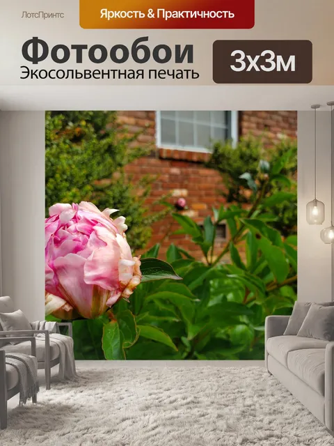 Фотообои Цветы