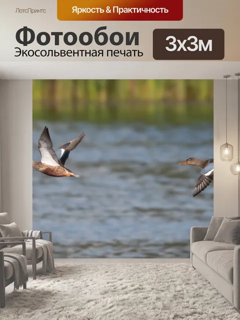 Фотообои Птицы