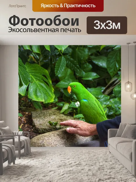 Фотообои Электус Попугай