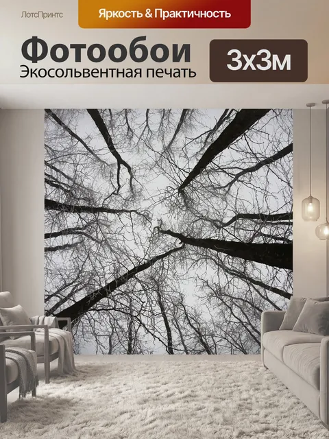 Фотообои Лес