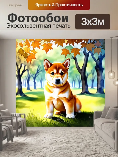 Фотообои в тихом парке рано утром