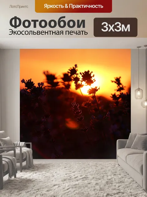 Фотообои Заход солнца