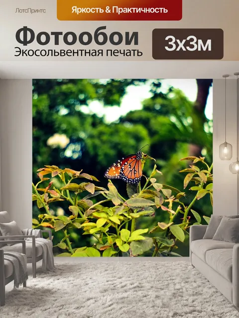 Фотообои Бабочка