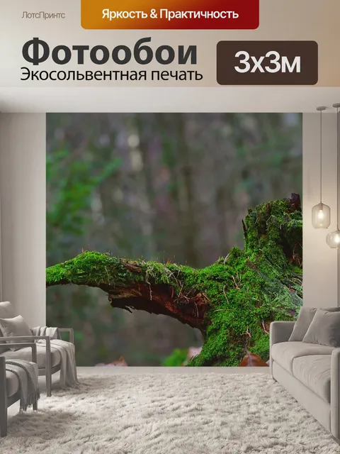 Фотообои Природа