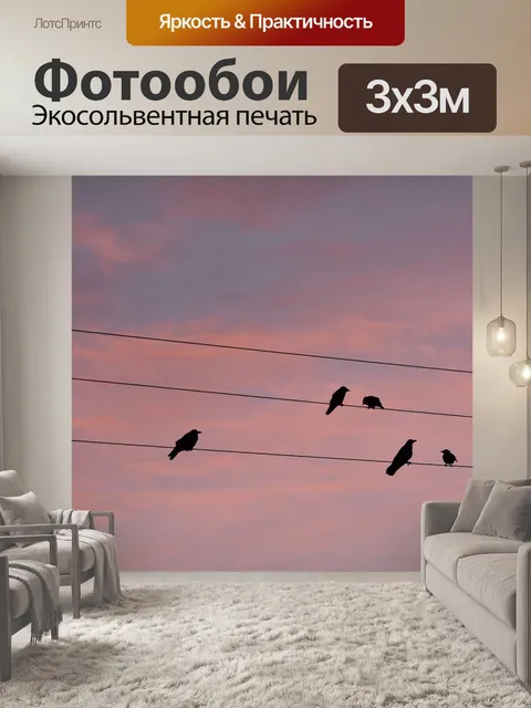 Фотообои Телеграфные провода