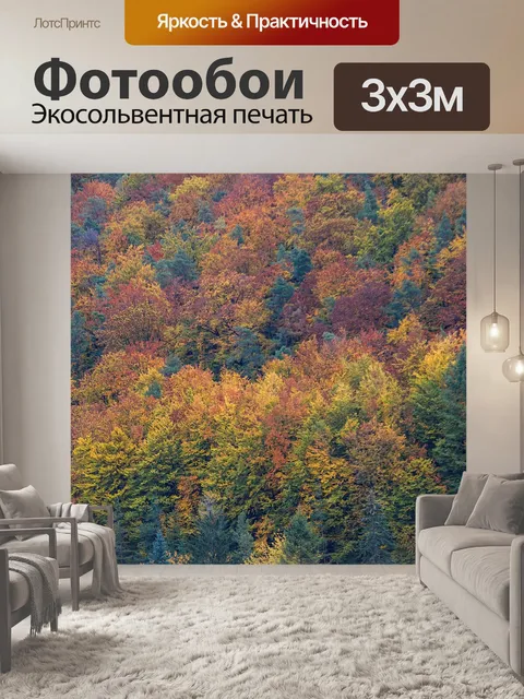 Фотообои Лес