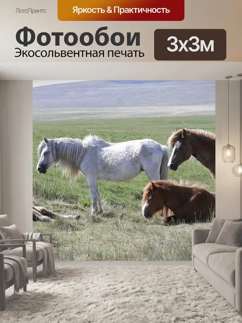 Фотообои Лошади