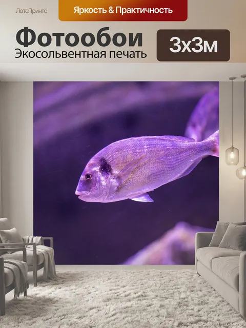 Фотообои Рыба