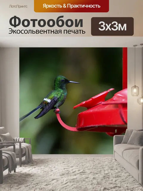 Фотообои Птица
