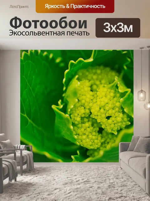 Фотообои Листья