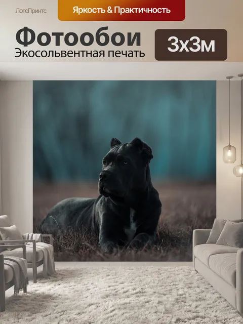 Фотообои Bandog