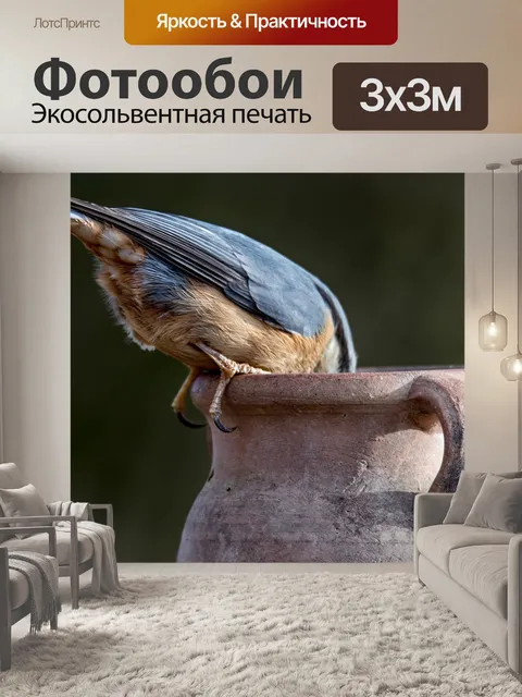 Фотообои Поползень
