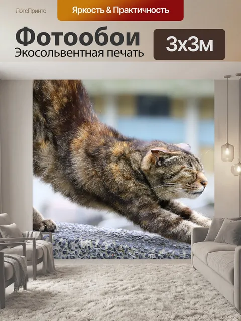 Фотообои Кошка